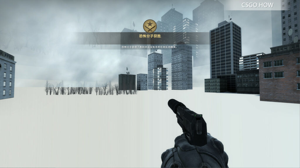 【截图必备】 CSGO 隐藏HUD/武器/手臂控制台指令