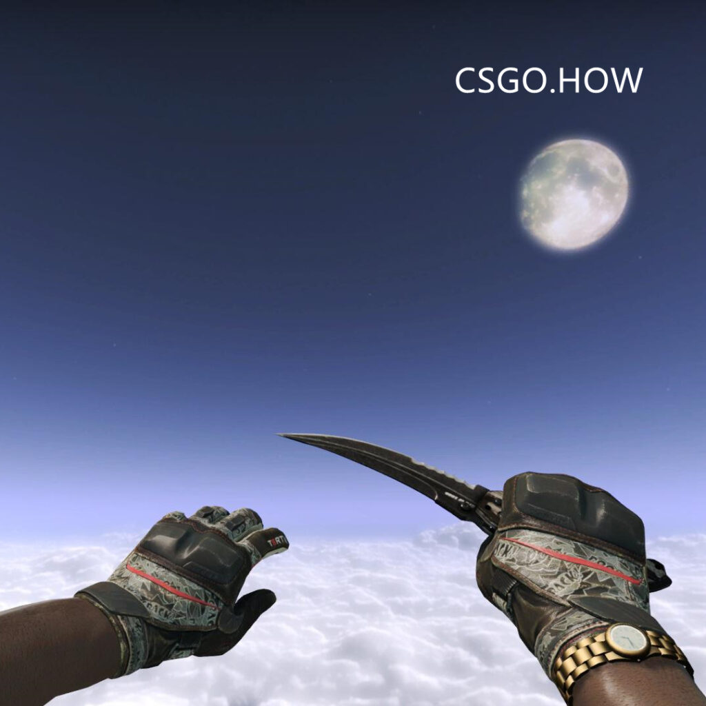 CSGO刀型介绍和推荐-2021新手向CSGO不同匕首评测科普 