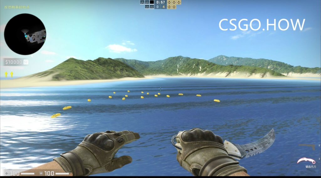 CSGO刀型介绍和推荐-2021新手向CSGO不同匕首评测科普 