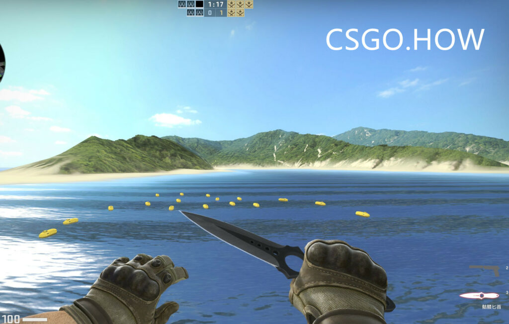 CSGO刀型介绍和推荐-2021新手向CSGO不同匕首评测科普 