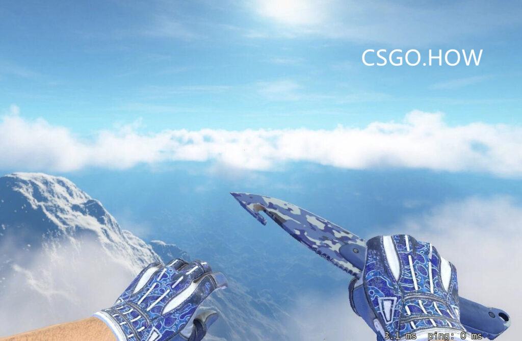CSGO刀型介绍和推荐2021新手向CSGO不同匕首评测科普 