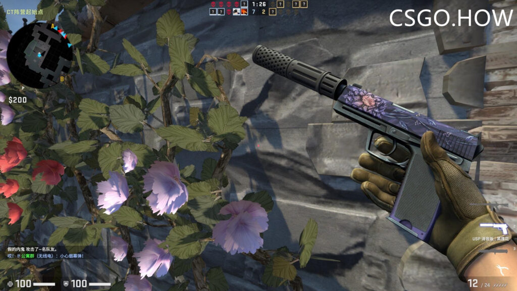 CSGO激流大行动饰品搭配指南,新皮肤已可交易