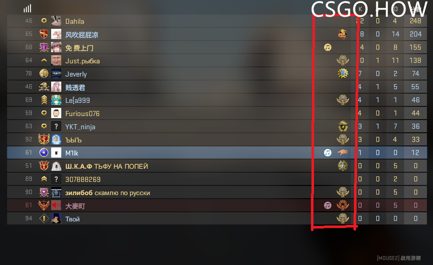 CSGO胸章介绍-纯正胸章