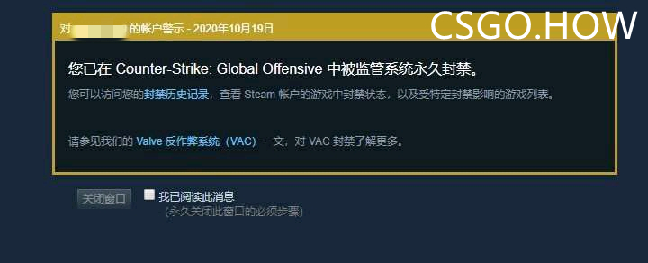 在CSGO中大家都知道VAC封禁 那么你知道OW的意思吗？ CSGO VAC OW