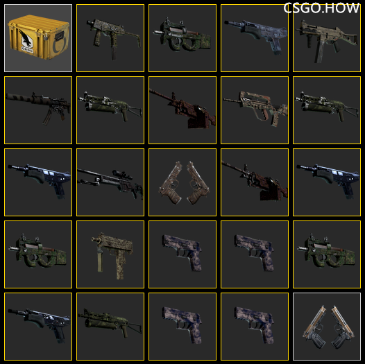 CSGO职业哥库存突击检查，都开Major签名贴纸了吗？
