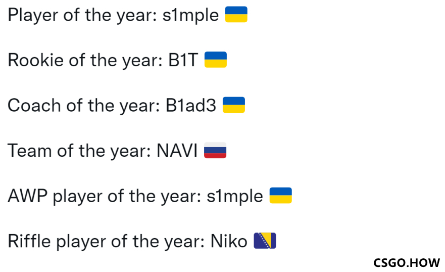  CSGO 年度最佳 1T最佳新人，Niko最强步枪手